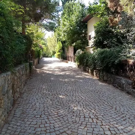בית נופש Amazing House With Shared Pool Surrounded By Nature In Fethiye *